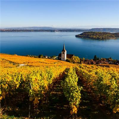 pg电子·模拟器(试玩游戏)手机app下载